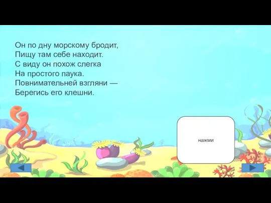 Он по дну морскому бродит, Пищу там себе находит. С виду