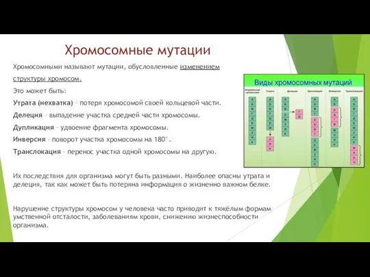 Хромосомные мутации Хромосомными называют мутации, обусловленные изменением структуры хромосом. Это может