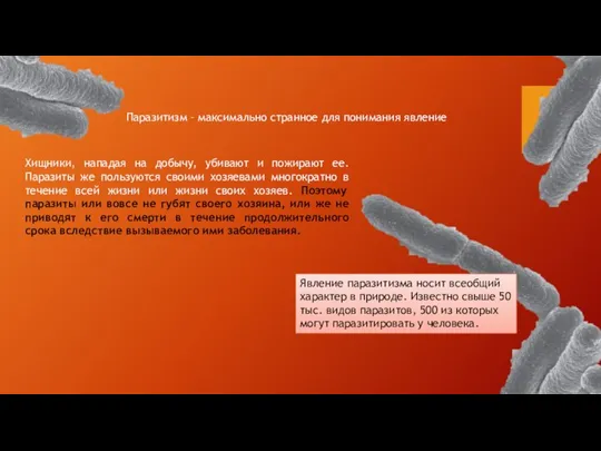 Хищники, нападая на добычу, убивают и пожирают ее. Паразиты же пользуются