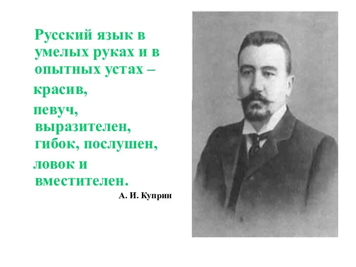 Русский язык в умелых руках и в опытных устах – красив,