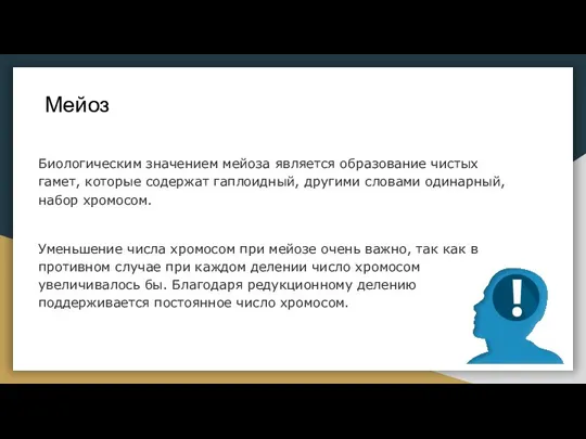 Биологическим значением мейоза является образование чистых гамет, которые содержат гаплоидный, другими