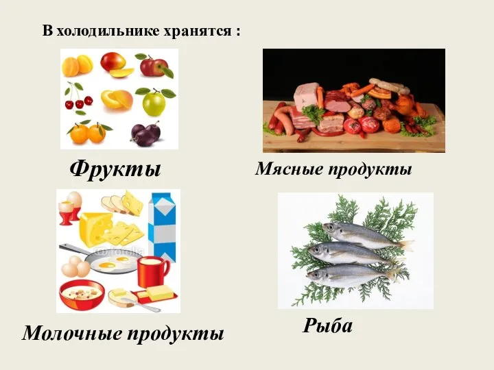 В холодильнике хранятся : Фрукты Мясные продукты Молочные продукты Рыба