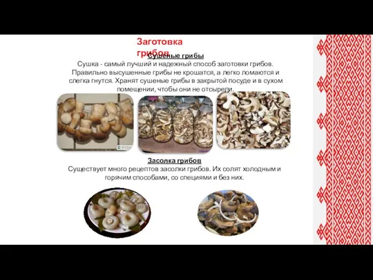 Заготовка грибов Сушеные грибы Сушка - самый лучший и надежный способ