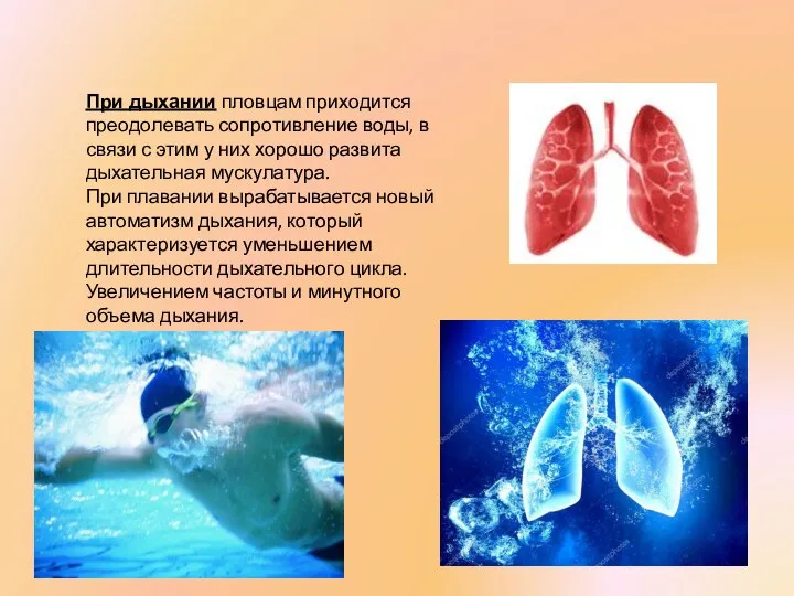 При дыхании пловцам приходится преодолевать сопротивле­ние воды, в связи с этим