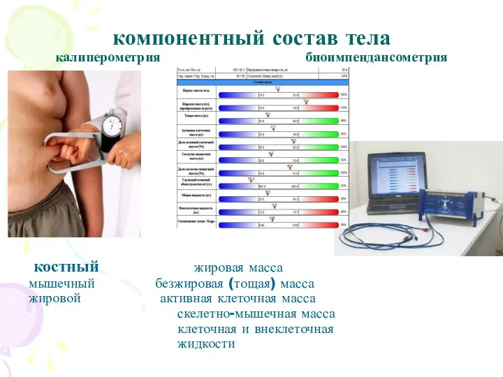 компонентный состав тела калиперометрия биоимпендансометрия костный жировая масса мышечный безжировая (тощая)