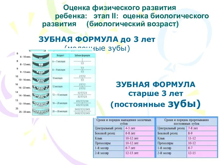 Оценка физического развития ребенка: этап II: оценка биологического развития (биологический возраст)