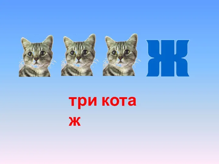 Ж три кота ж