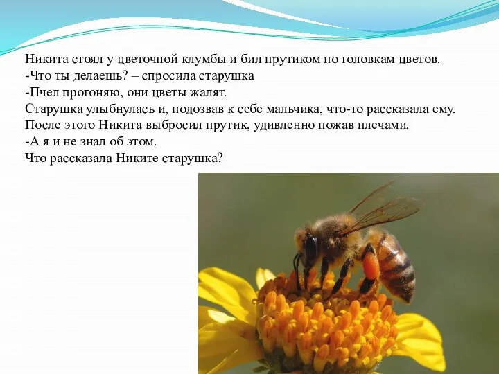 Никита стоял у цветочной клумбы и бил прутиком по головкам цветов.