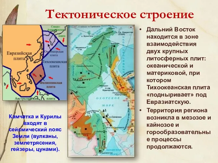 Тектоническое строение Дальний Восток находится в зоне взаимодействия двух крупных литосферных