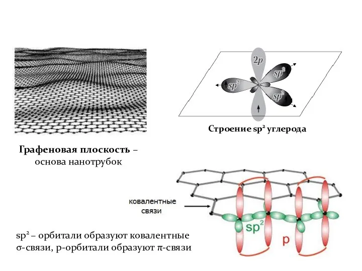 Графеновая плоскость – основа нанотрубок Строение sp2 углерода sp2 – орбитали