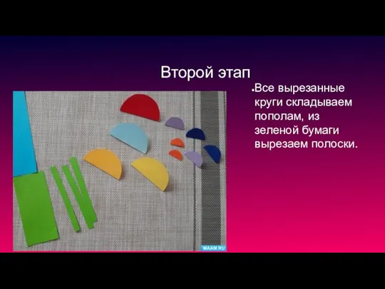 Второй этап Все вырезанные круги складываем пополам, из зеленой бумаги вырезаем полоски.