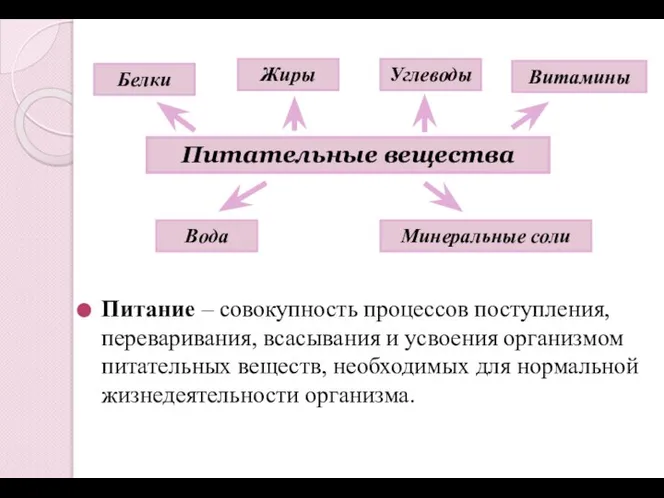 Питание – совокупность процессов поступления, переваривания, всасывания и усвоения организмом питательных