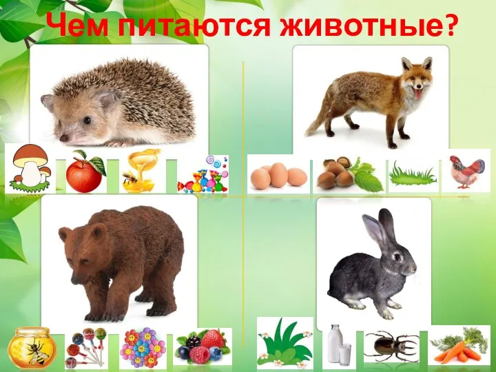 Чем питаются животные?