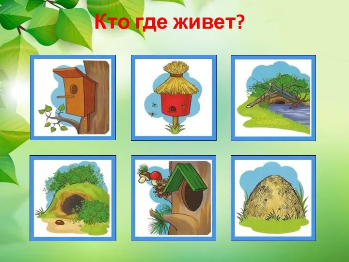 Кто где живет?