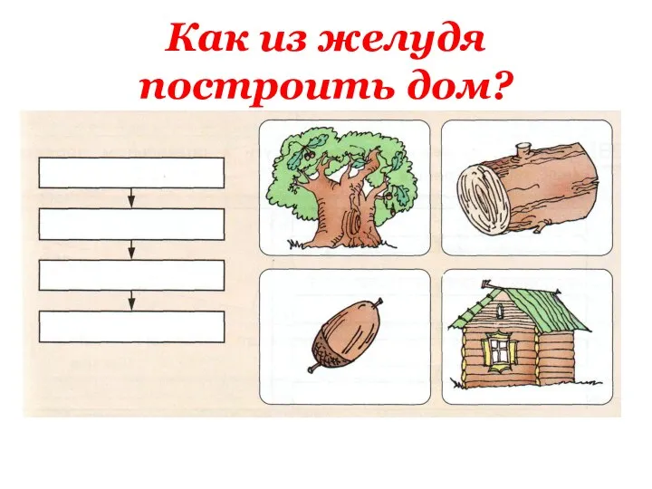 Как из желудя построить дом?