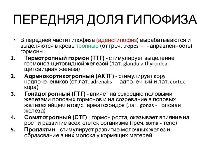 ПЕРЕДНЯЯ ДОЛЯ ГИПОФИЗА В передней части гипофиза (аденогипофиз) вырабатываются и выделяются