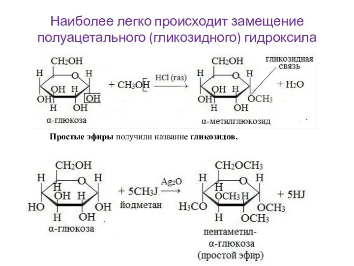 Наиболее легко происходит замещение полуацетального (гликозидного) гидроксила Простые эфиры получили название гликозидов.