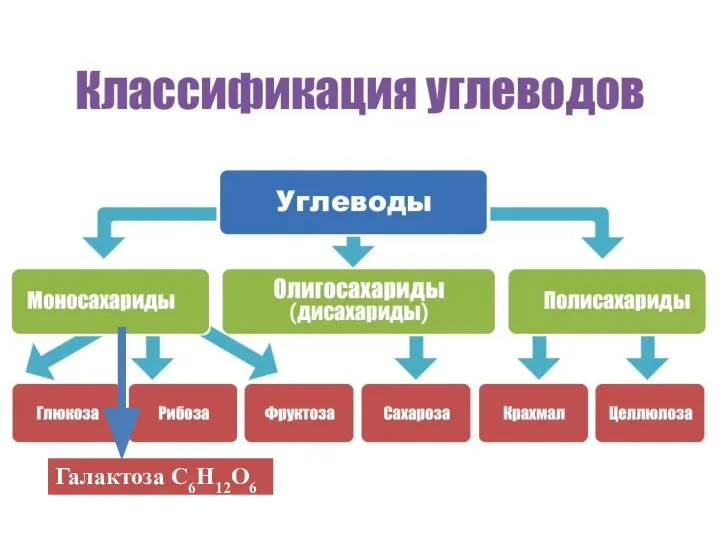 Галактоза С6Н12О6