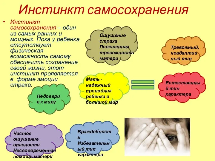 Инстинкт самосохранения Инстинкт самосохранения – один из самых ранних и мощных.