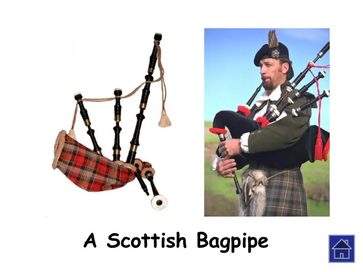 A Scottish Bagpipe