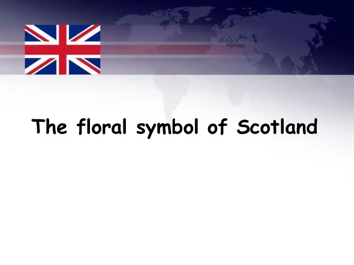 The floral symbol of Scotland