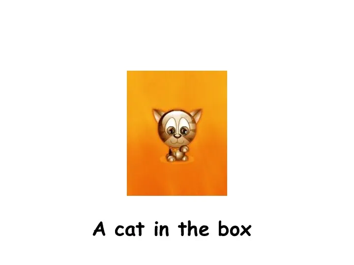 A cat in the box