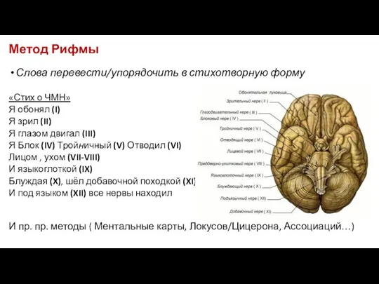 Метод Рифмы Слова перевести/упорядочить в стихотворную форму «Стих о ЧМН» Я