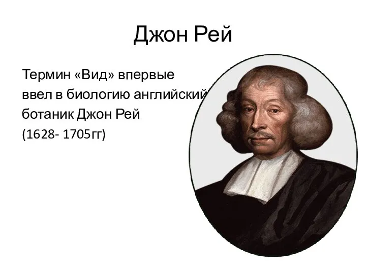 Джон Рей Термин «Вид» впервые ввел в биологию английский ботаник Джон Рей (1628- 1705гг)