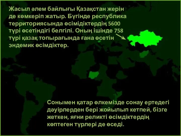 Жасыл әлем байлығы Қазақстан жерін де көмкеріп жатыр. Бүгінде республика территориясында