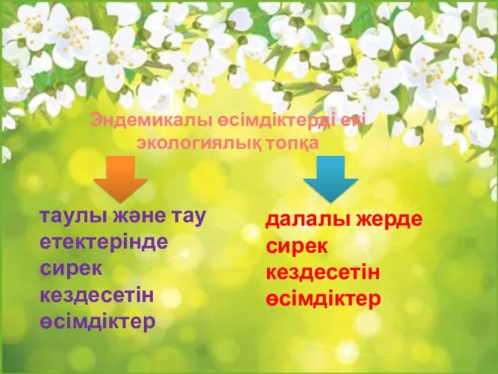 Эндемикалы өсімдіктерді екі экологиялық топқа таулы және тау етектерінде сирек кездесетін