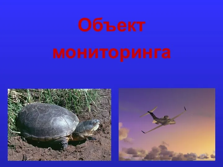 Объект мониторинга