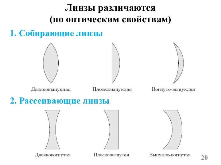 Линзы различаются (по оптическим свойствам) 1. Собирающие линзы 2. Рассеивающие линзы