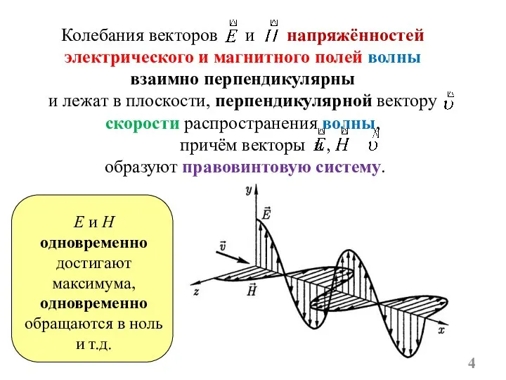 Колебания векторов и напряжённостей электрического и магнитного полей волны взаимно перпендикулярны