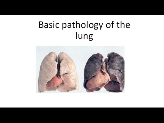 Basic pathology of the lung