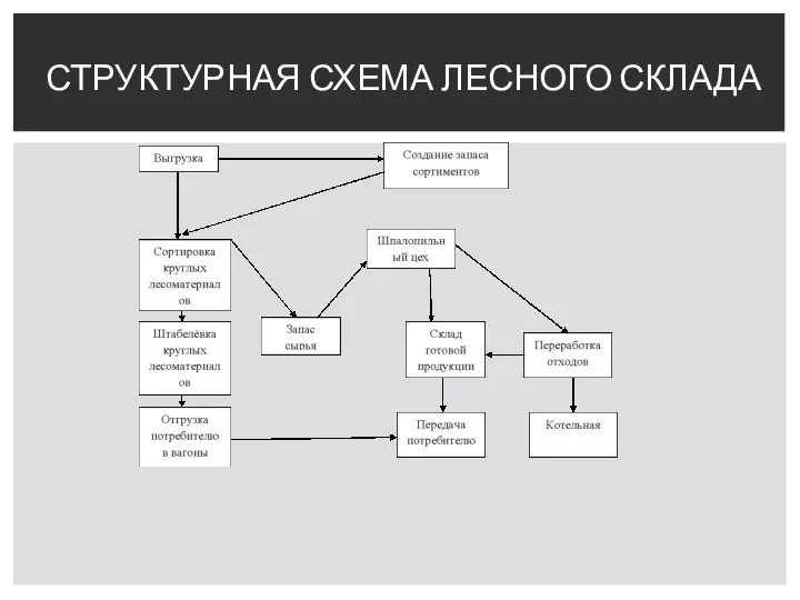 СТРУКТУРНАЯ СХЕМА ЛЕСНОГО СКЛАДА