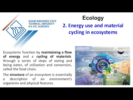 Ecosystems function by maintaining a flow of energy and a cycling