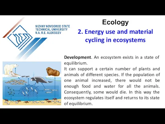 Development. An ecosystem exists in a state of equilibrium. It can