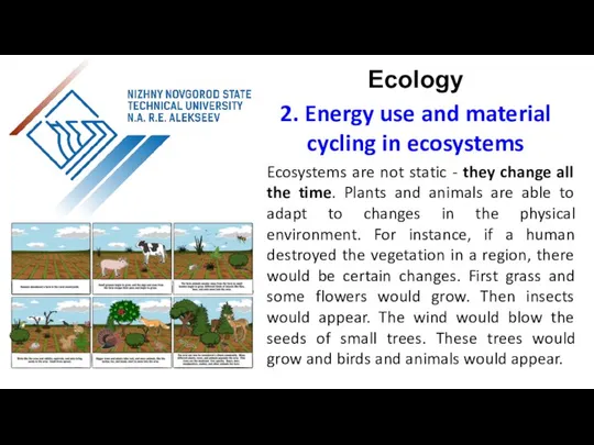 Ecosystems are not static - they change all the time. Plants