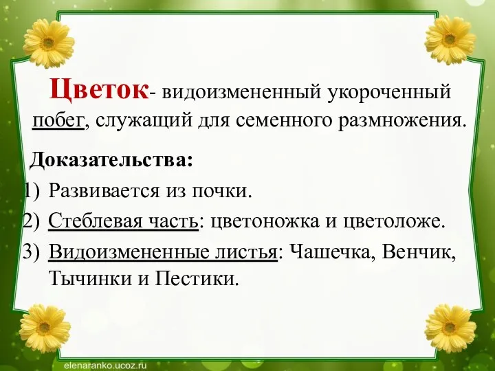 Цветок- видоизмененный укороченный побег, служащий для семенного размножения. Доказательства: Развивается из