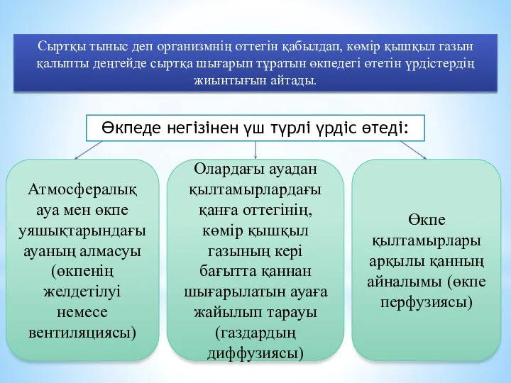 Сыртқы тыныс деп организмнің оттегін қабылдап, көмір қышқыл газын қалыпты деңгейде