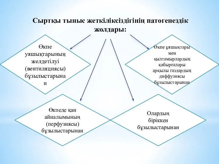 Сыртқы тыныс жеткіліксіздігінің патогенездік жолдары: Өкпе уяшықтарының желдетілуі (вентиляциясы) бұзылыстарынан Өкпеде