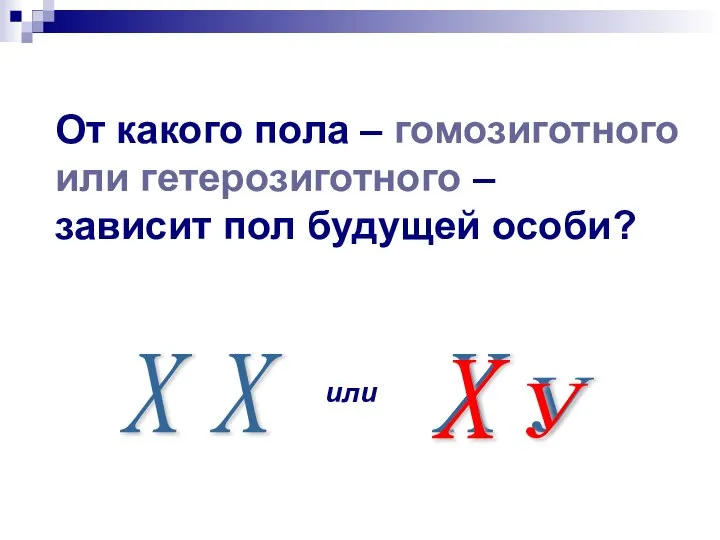 От какого пола – гомозиготного или гетерозиготного – зависит пол будущей