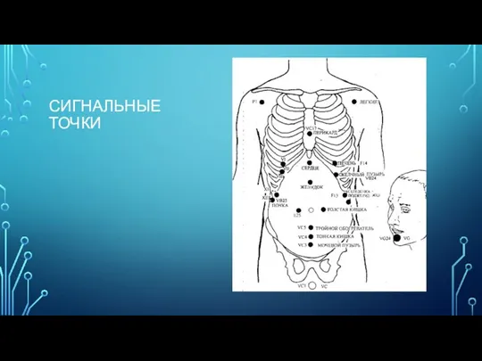 СИГНАЛЬНЫЕ ТОЧКИ