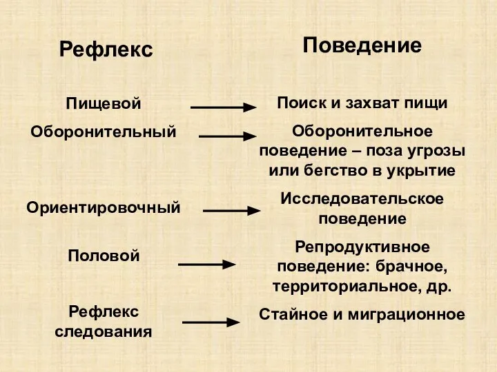 Пищевой Оборонительный Ориентировочный Половой Рефлекс следования Поиск и захват пищи Оборонительное