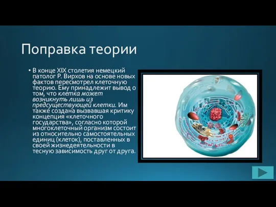 Поправка теории В конце XIX столетия немецкий патолог Р. Вирхов на