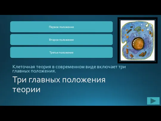 Три главных положения теории Клеточная теория в современном виде включает три