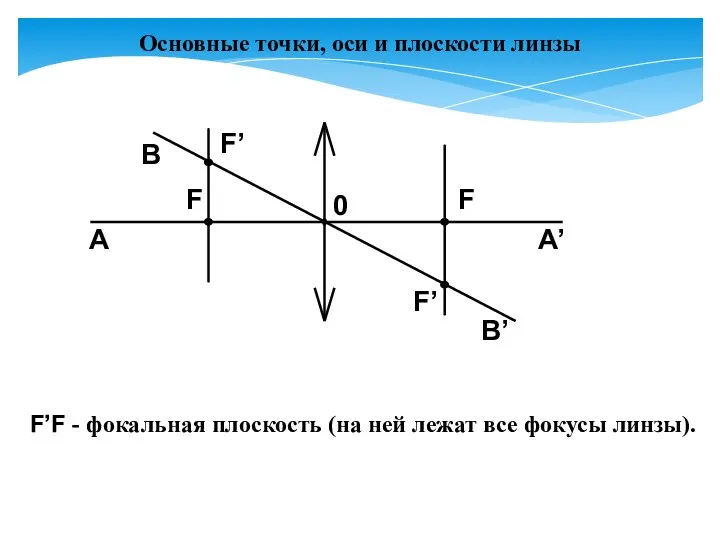 Основные точки, оси и плоскости линзы F’F - фокальная плоскость (на ней лежат все фокусы линзы).