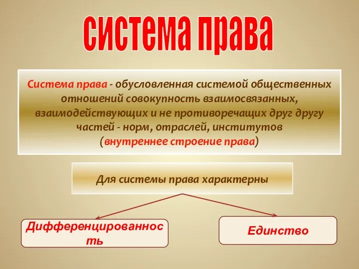 Система права - обусловленная системой общественных отношений совокупность взаимосвязанных, взаимодействующих и