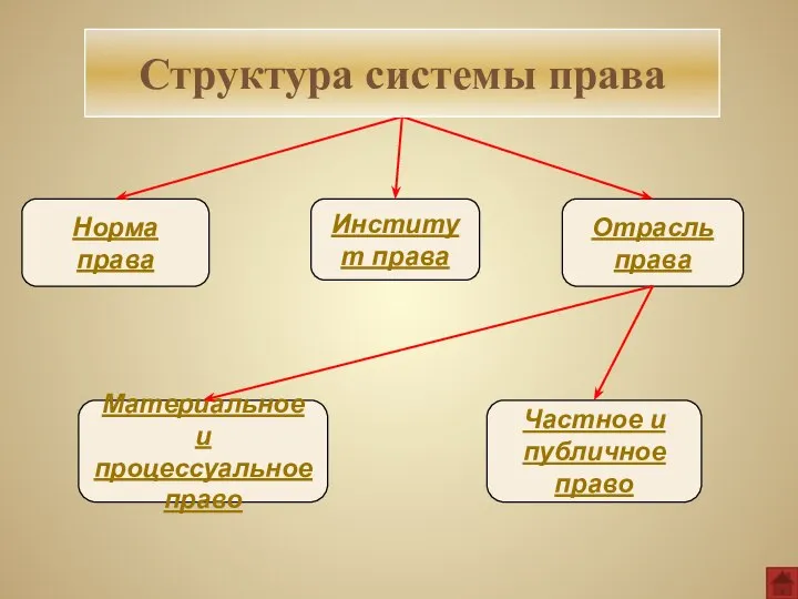 Норма права Отрасль права Институт права Материальное и процессуальное право Частное