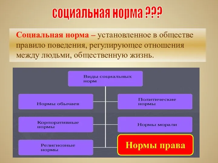 Социальная норма – установленное в обществе правило поведения, регулирующее отношения между